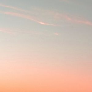 Meet your Posher, Jane